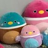 mocha_bird